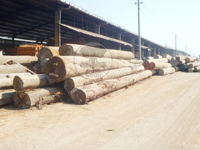 Wood Logs Stock